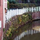 Spiegelung im Wasser in Jork