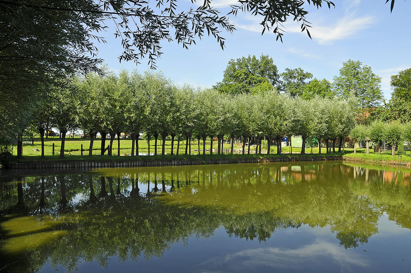 Spiegelung im Wasser - jetzt ist Sommer