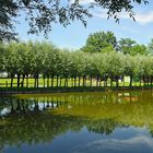 Spiegelung im Wasser - jetzt ist Sommer