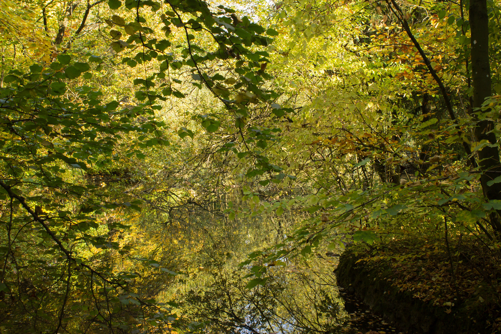 Spiegelung im Wasser - oder?