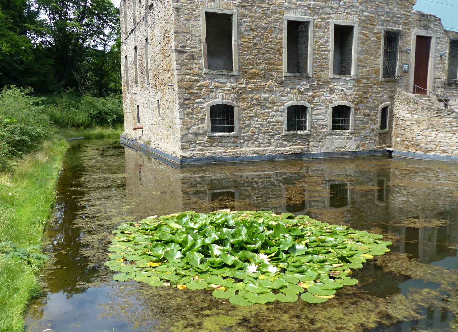 Spiegelung im Wassergraben