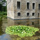 Spiegelung im Wassergraben