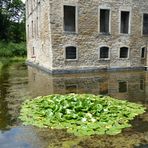 Spiegelung im Wassergraben