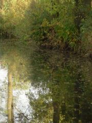 Spiegelung im Wasserlauf