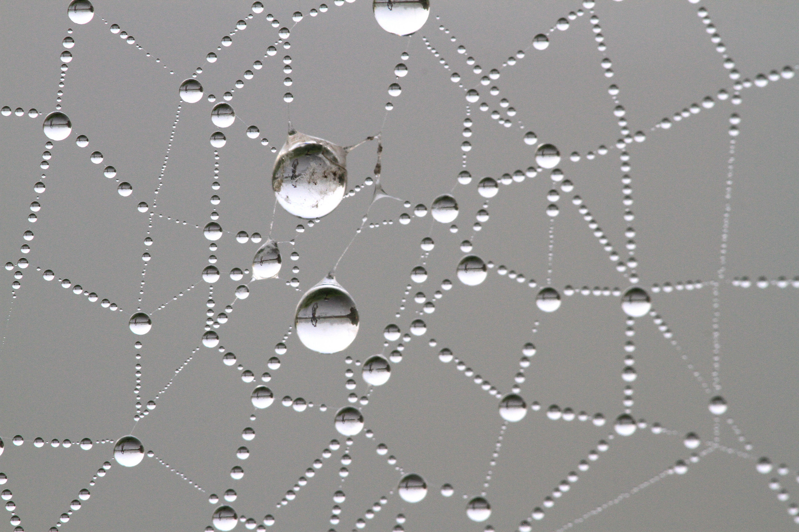 Spiegelung im Wassertropfen / Spinnennetz 1