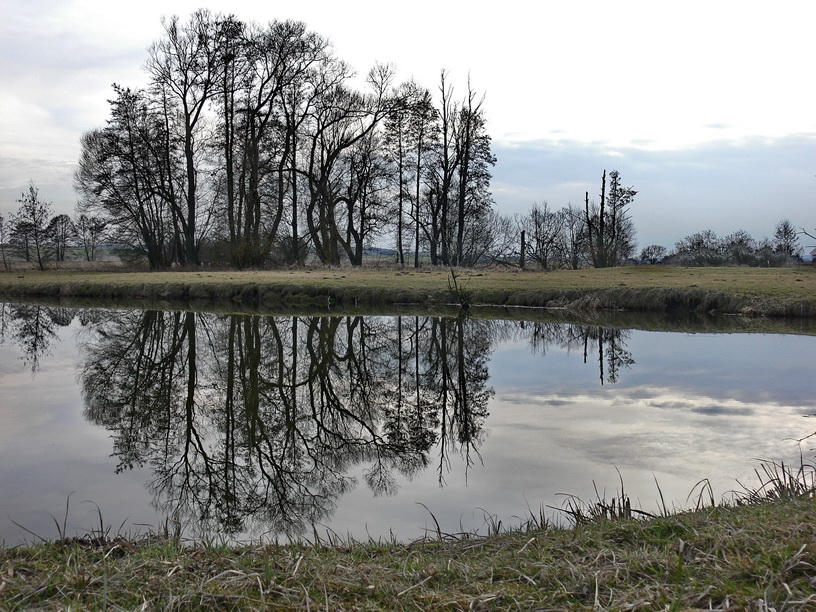 Spiegelung im Weiher