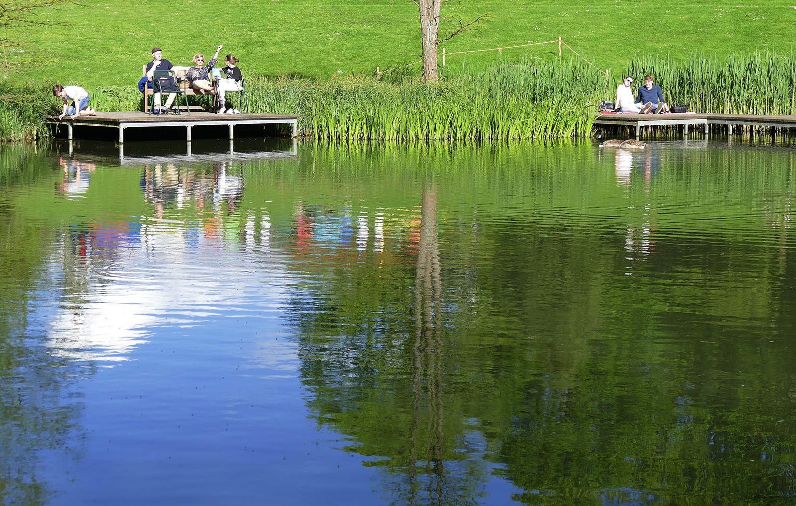 Spiegelung im Weiher!