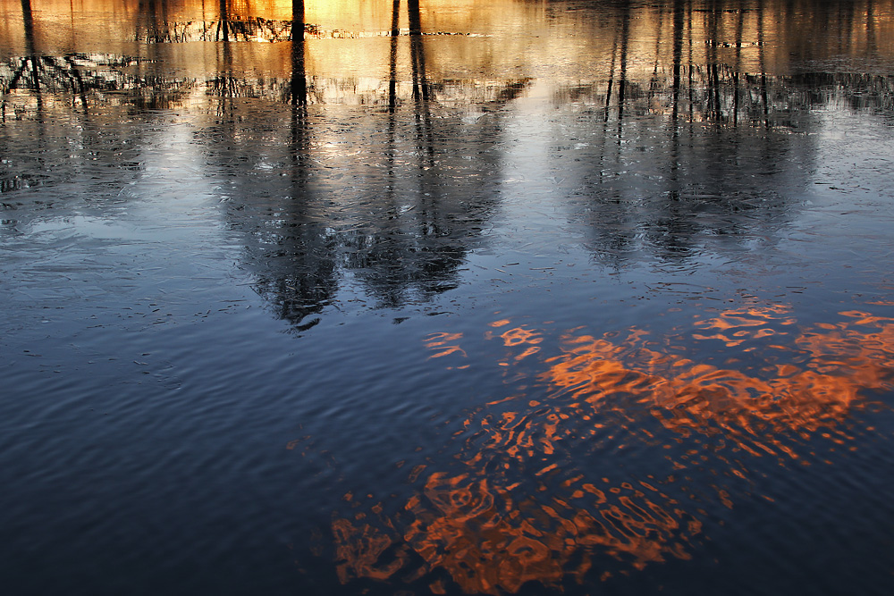 Spiegelung im Weiher