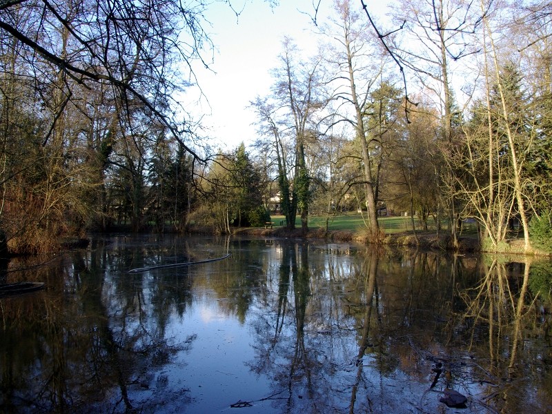 Spiegelung im Weiher