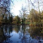 Spiegelung im Weiher