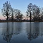 Spiegelung im Weiher