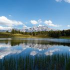 Spiegelung im Wildensee