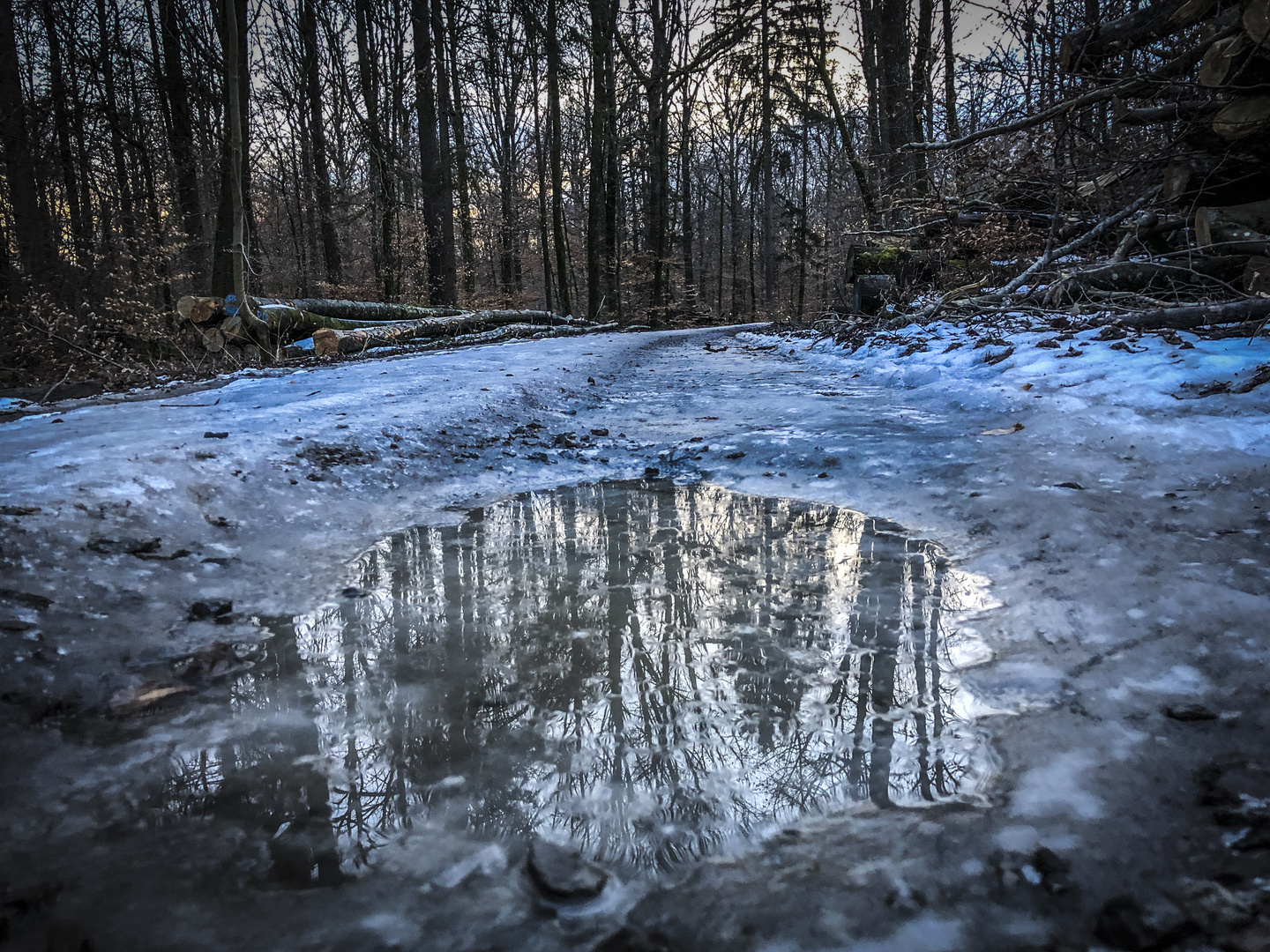 Spiegelung im Winter