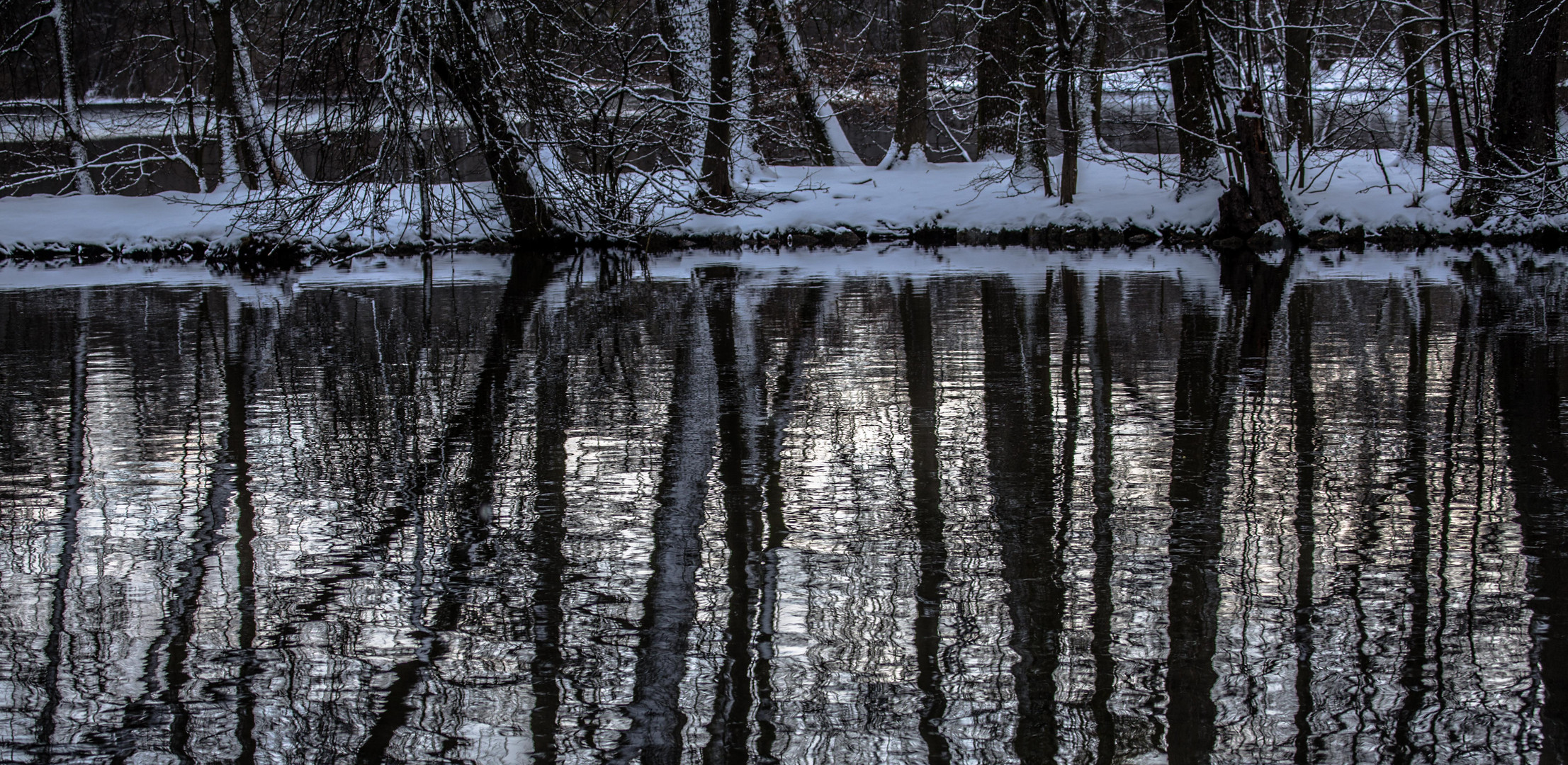 Spiegelung im winterlichen See