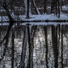 Spiegelung im winterlichen See