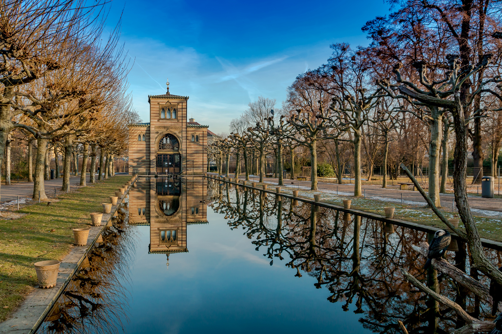 Spiegelung im Zoo