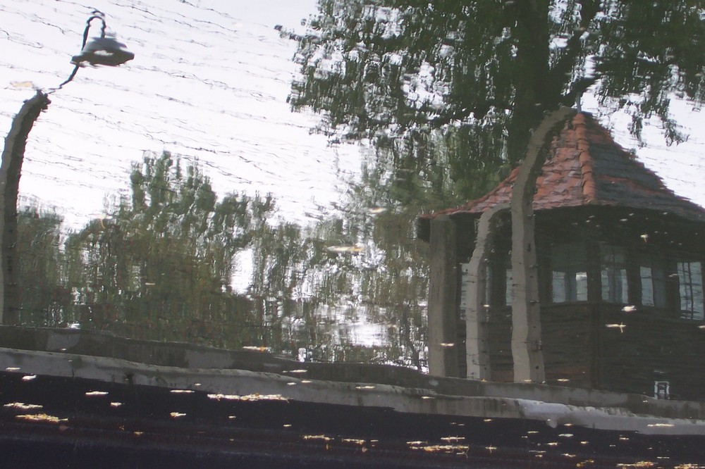 Spiegelung in Auschwitz