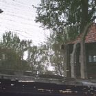 Spiegelung in Auschwitz