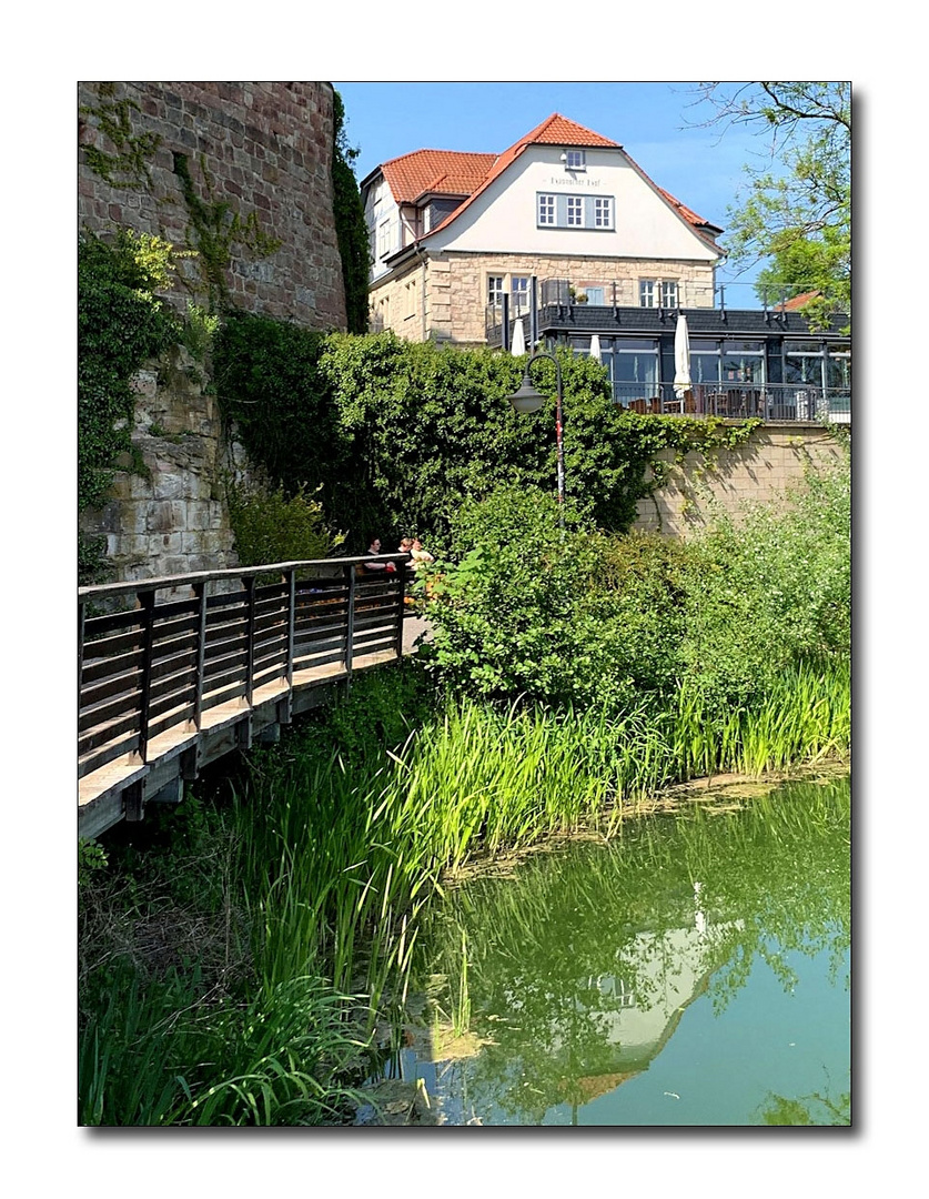 spiegelung in bad salzungen (1)