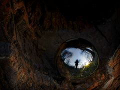 Spiegelung in Baumhöhle