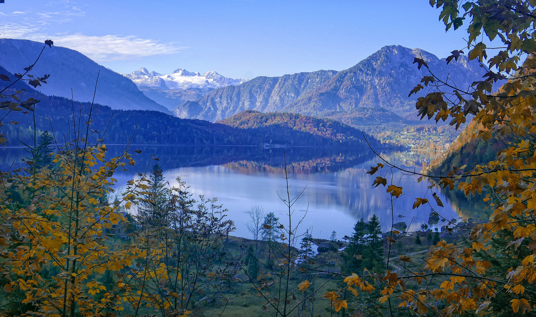 Spiegelung in Blau