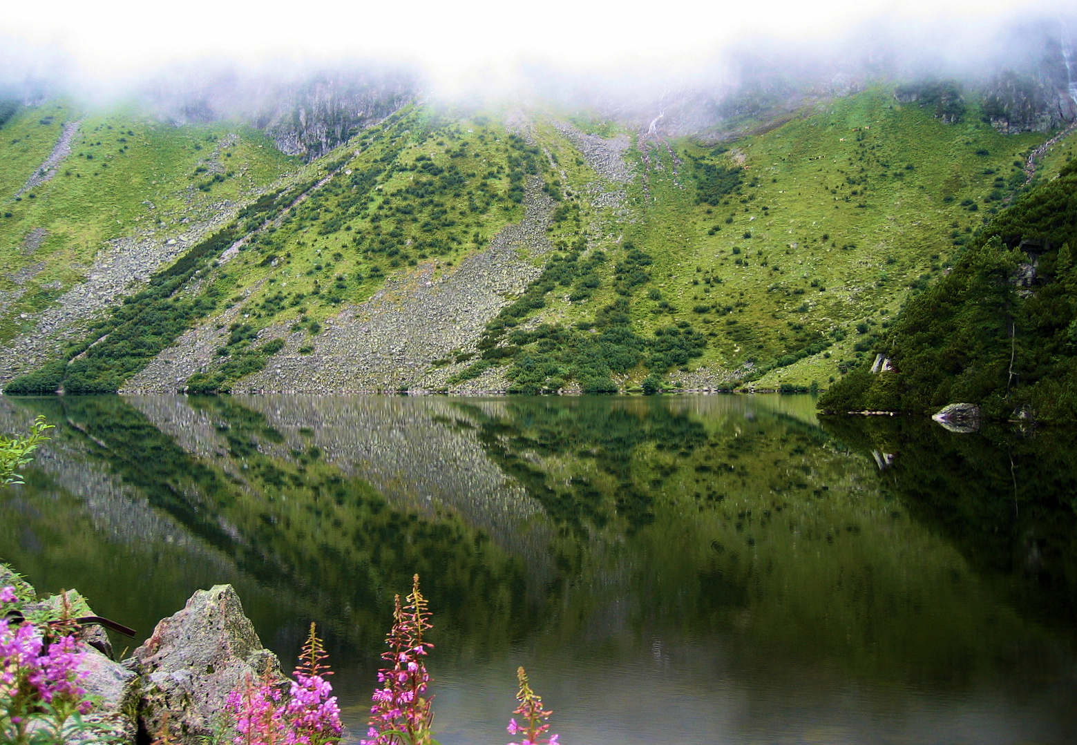 Spiegelung in den Alpen - Schnappschuss