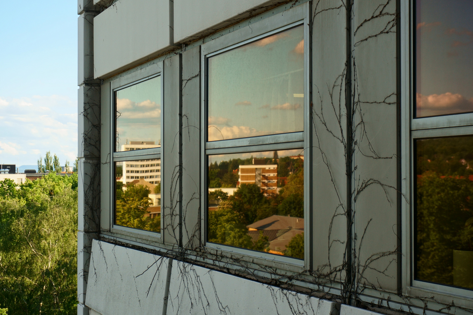 Spiegelung in den Fenstern von Bettenhaus 1 der Uniklinik Göttingen