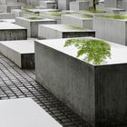 Spiegelung in den Stelen des Holocaust-Denkmals Berlin