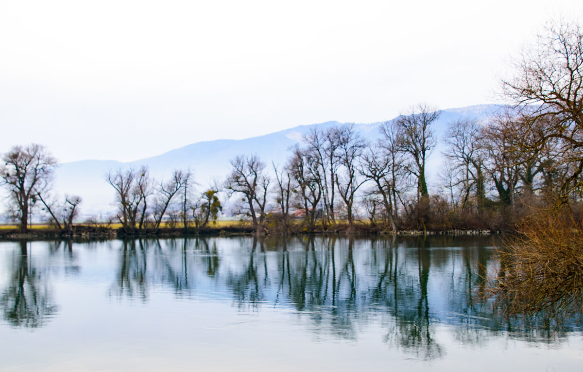 Spiegelung in der Aare