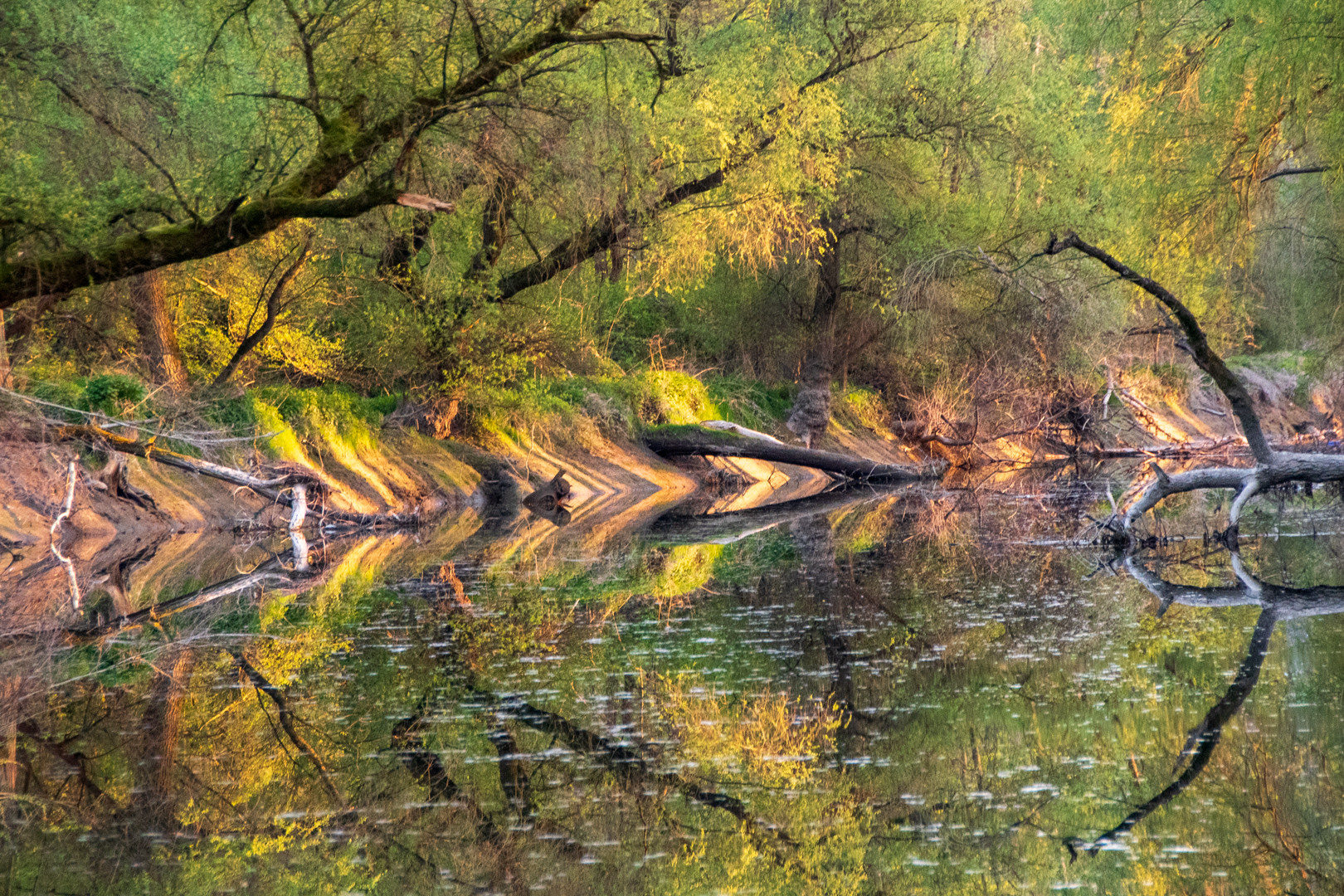 Spiegelung in der Abendsonne