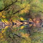 Spiegelung in der Abendsonne