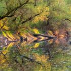 Spiegelung in der Abendsonne