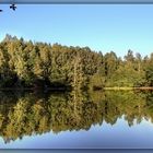 Spiegelung in der Abendsonne