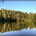 Spiegelung in der Abendsonne