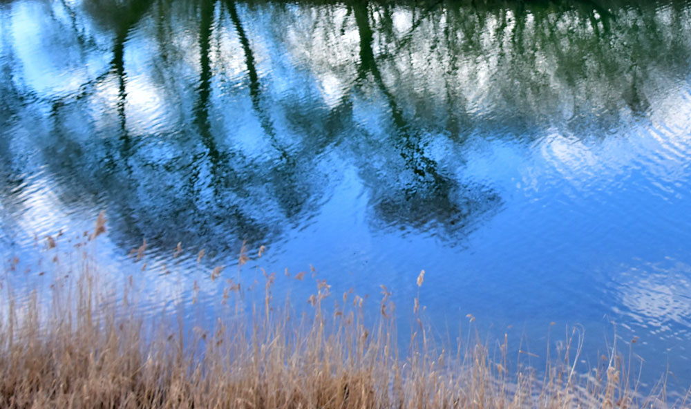 Spiegelung in der alten Aare