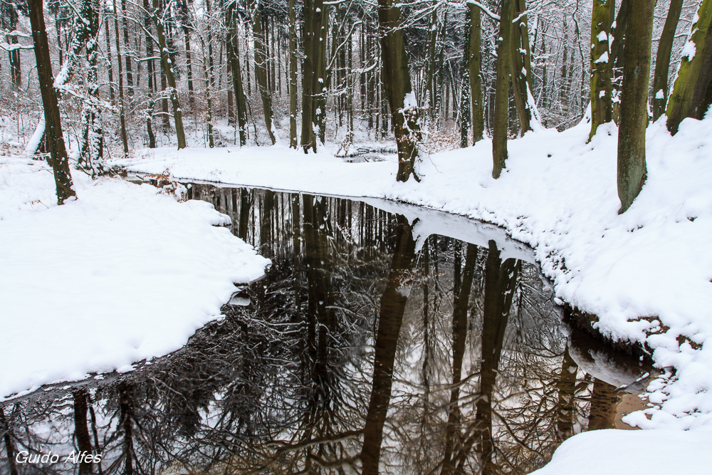 Spiegelung in der Bachschleife