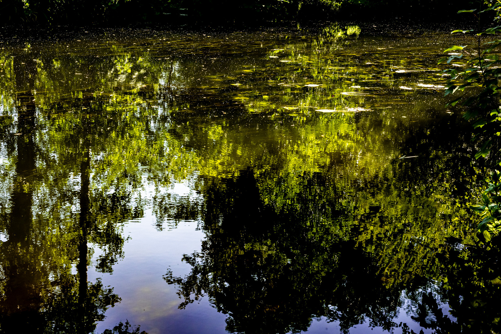 Spiegelung in der Bille 5