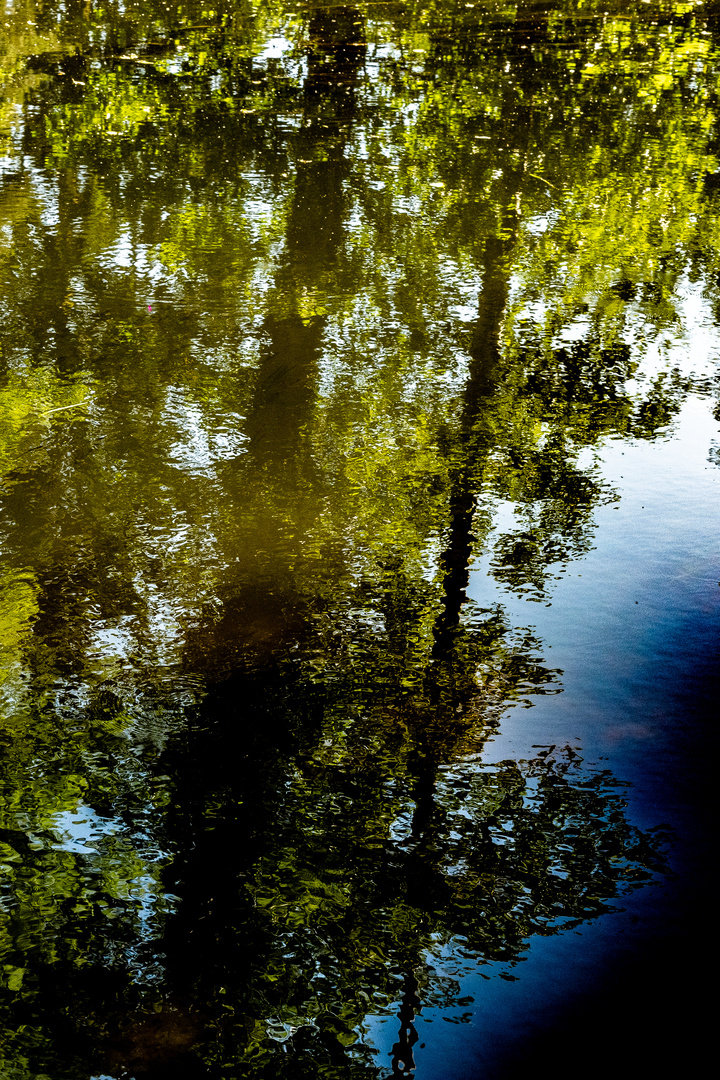 Spiegelung in der Bille 8