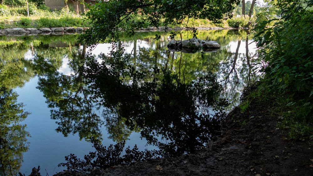 Spiegelung in der Bode