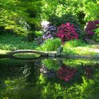 Spiegelung in der Botanischen Sammlung