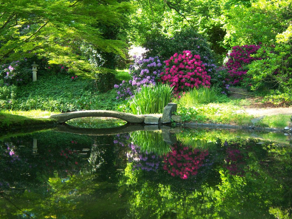 Spiegelung in der Botanischen Sammlung