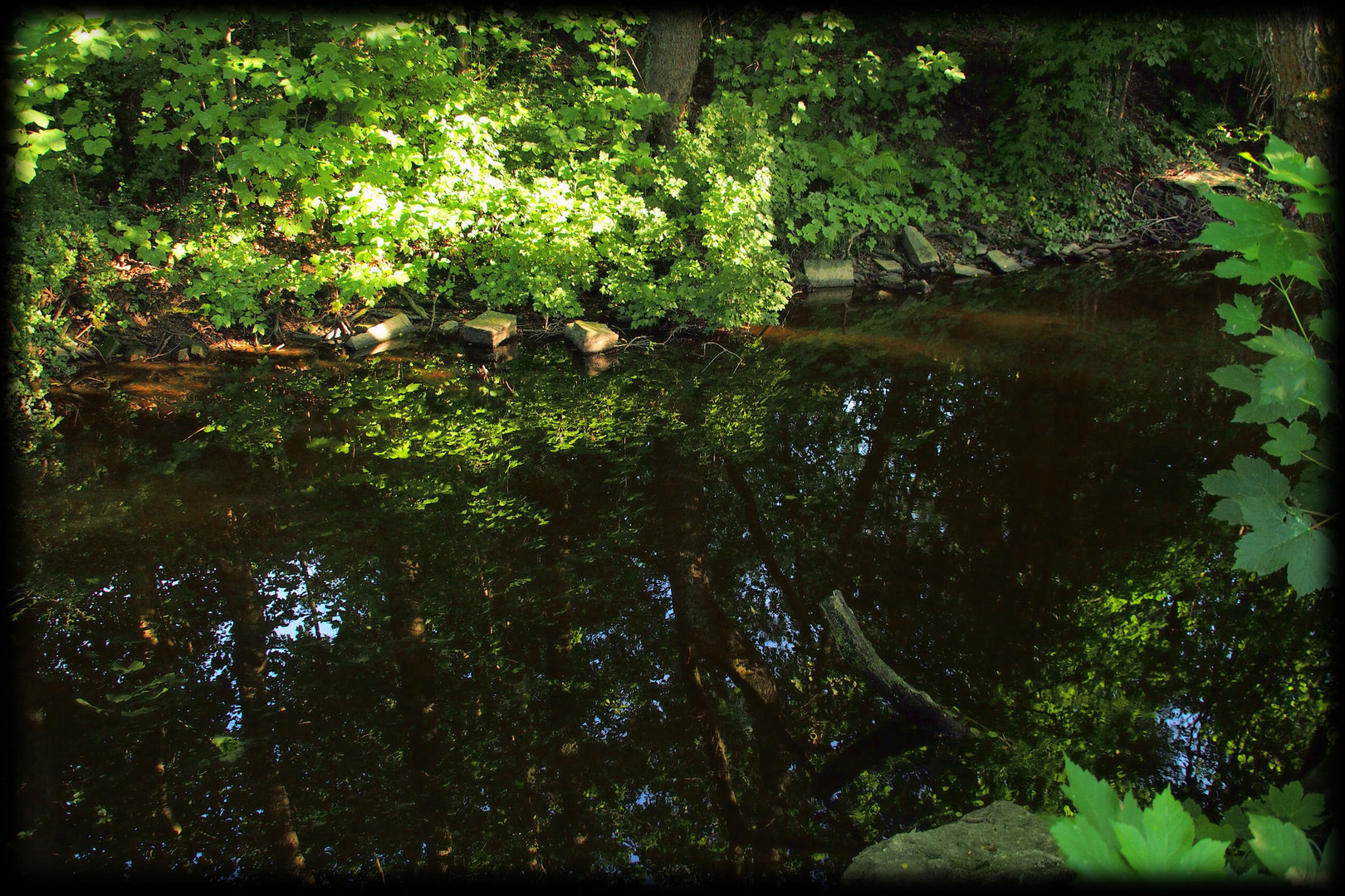 Spiegelung in der Eger