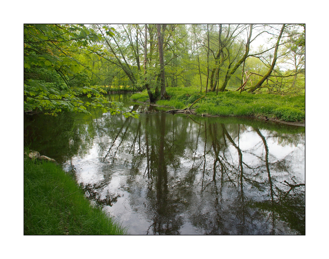 Spiegelung in der Eger