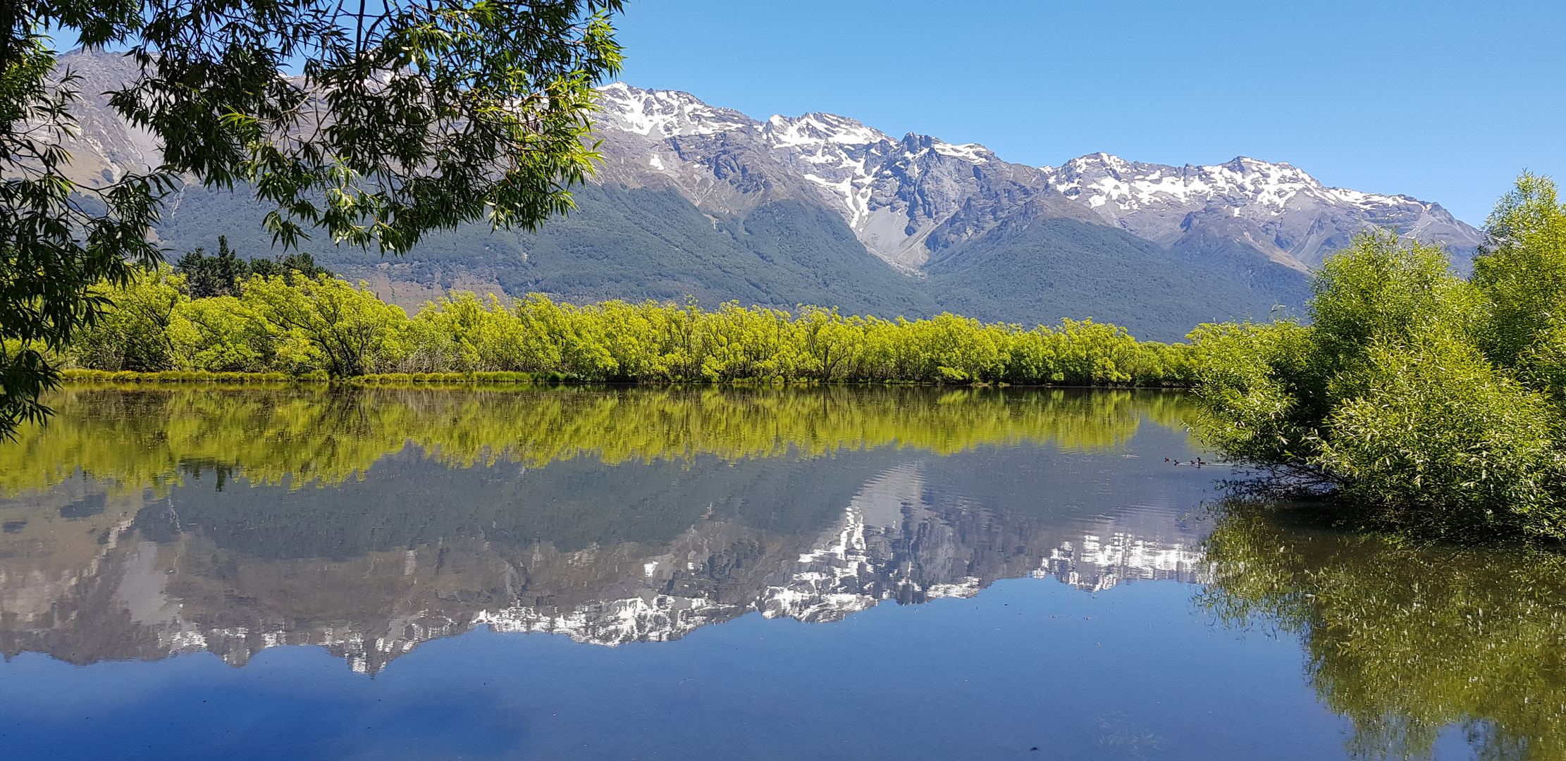 Spiegelung in der Glenorchy Lagon (Südinsel, Neuseeland)