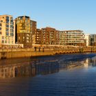 Spiegelung in der Hafencity