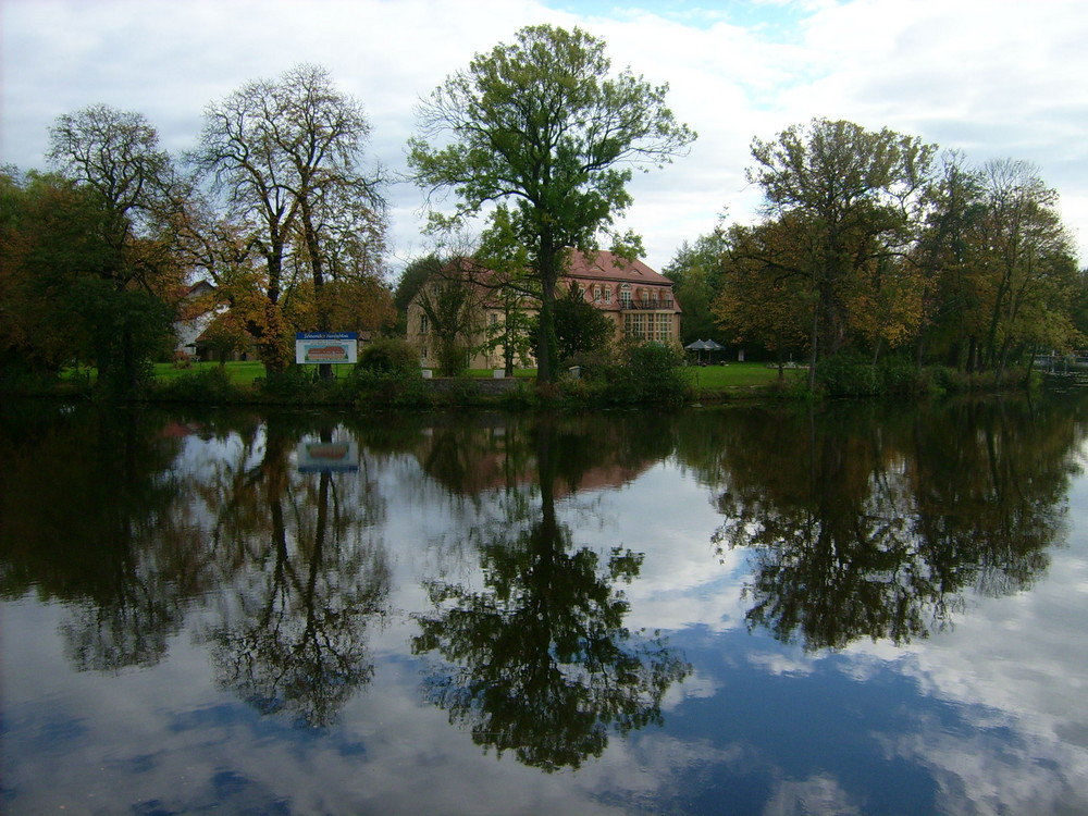 Spiegelung in der Havel