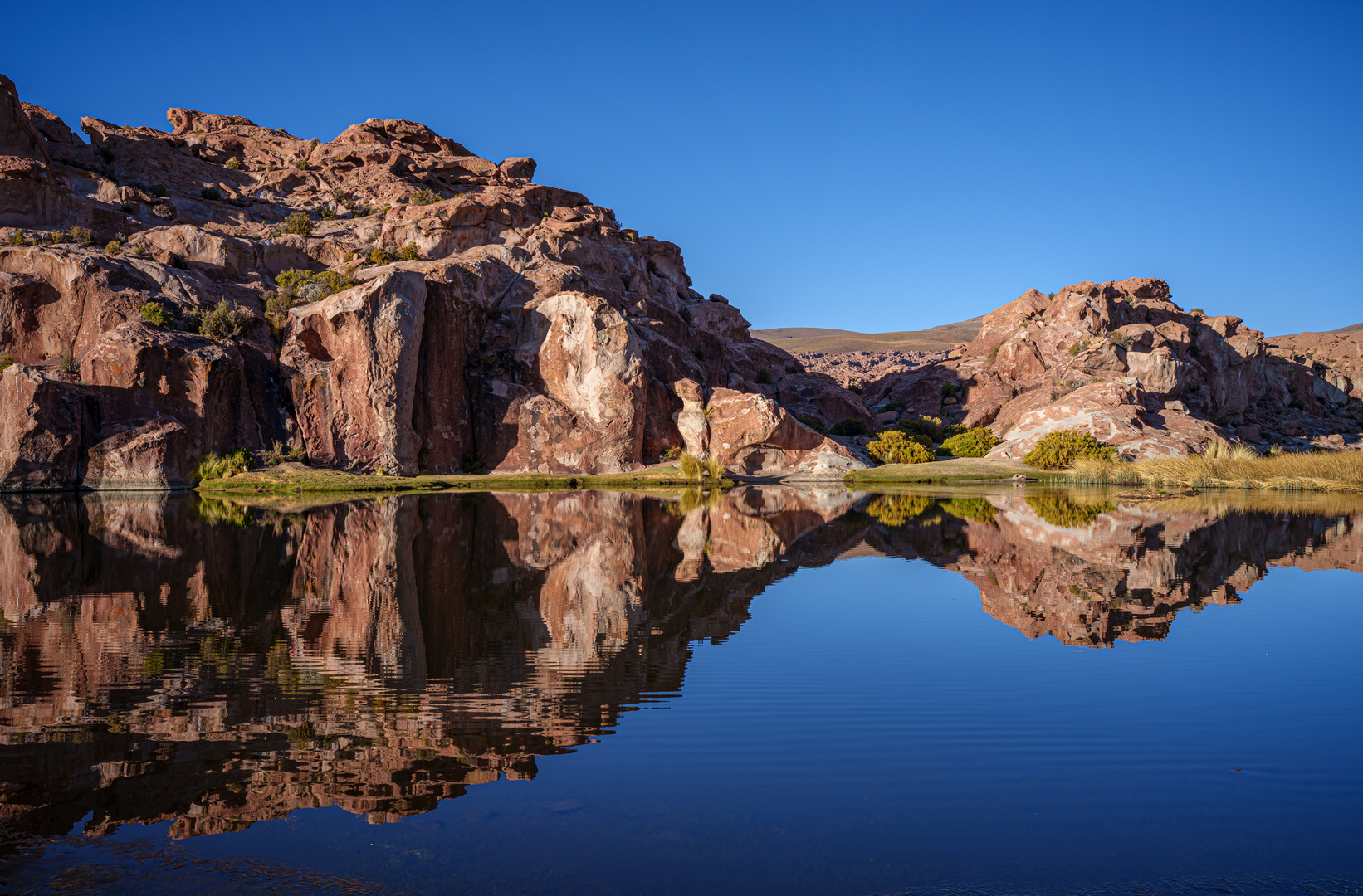 Spiegelung in der Laguna Negra