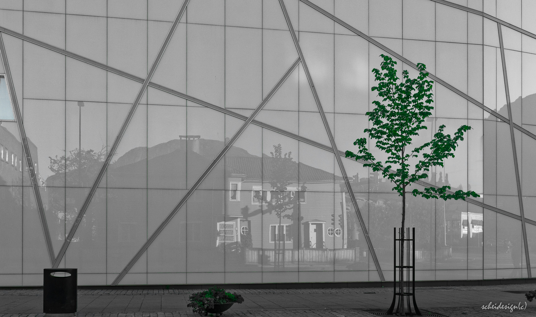 Spiegelung in der "Moderne" mit Baum