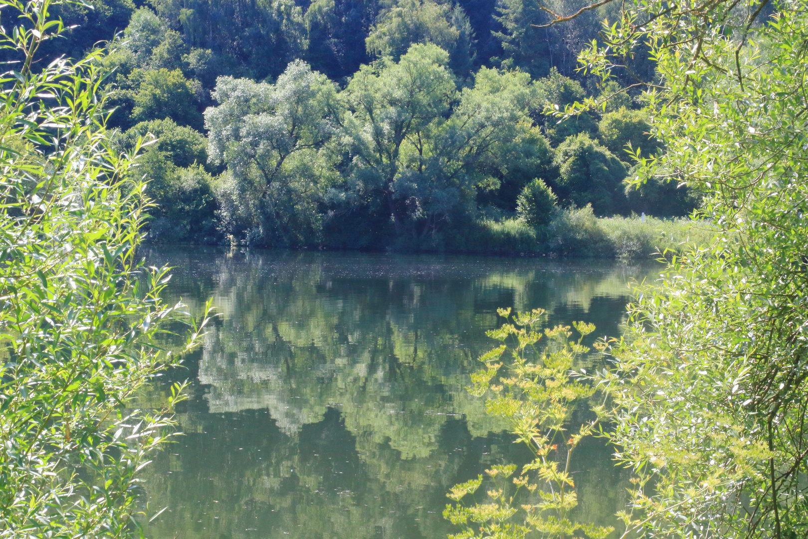 Spiegelung in der Mosel