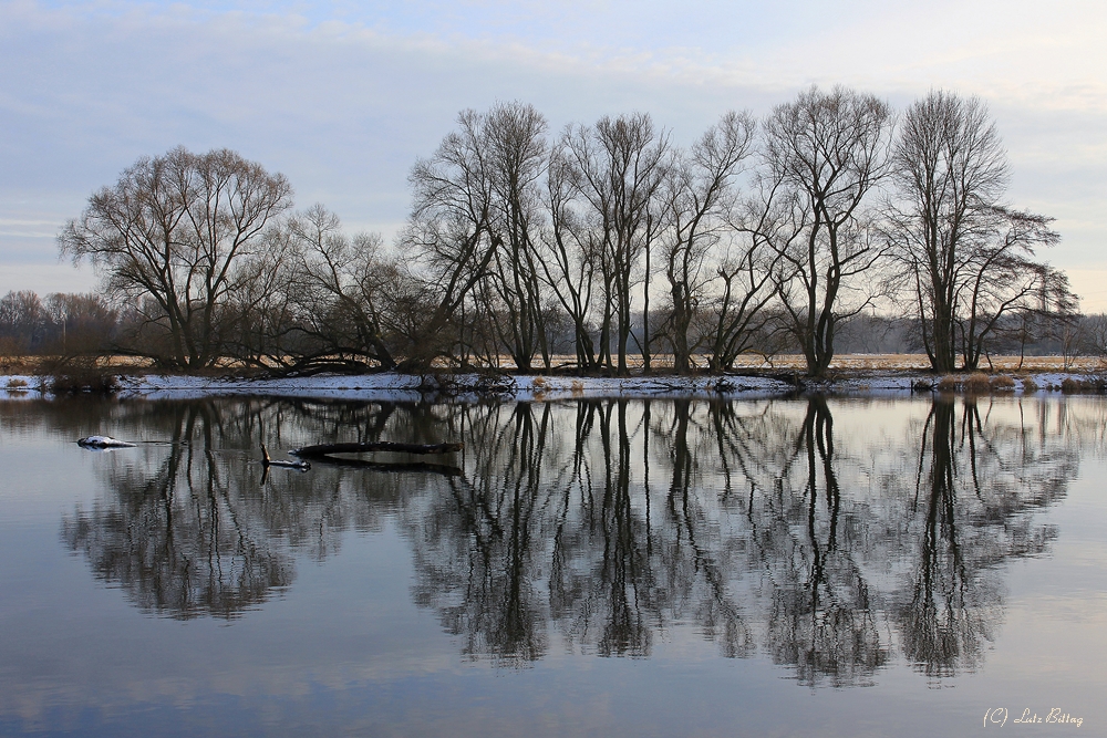 Spiegelung in der Mulde